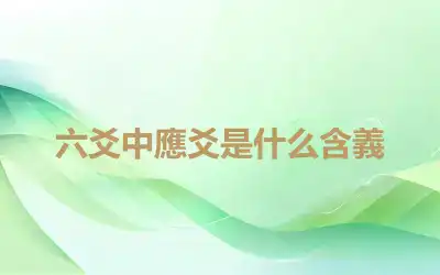 六爻中應爻是什么含義